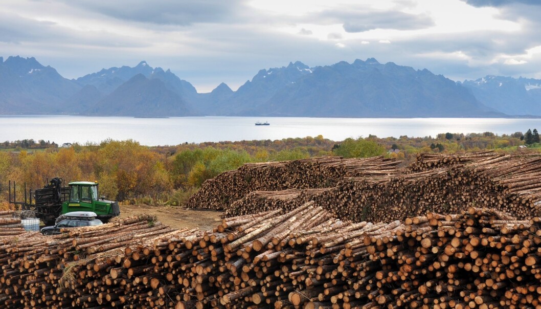 Et bærekraftig skogbruk er et viktig klimatiltak. Skogbruket skal være bærekraftig i den forstand at det ivaretar karbonbeholdningen i skogen, sier skogforsker Gunnhild Søgaard ved Norsk institutt for bioøkonomi. (Foto: Lars Sandved Dalen, Nibio) Et bærekraftig skogbruk er et viktig klimatiltak. Skogbruket skal være bærekraftig i den forstand at det ivaretar karbonbeholdningen i skogen, sier skogforsker Gunnhild Søgaard ved Norsk institutt for bioøkonomi. (Foto: Lars Sandved Dalen, Nibio)