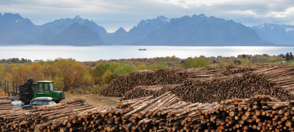 Et bærekraftig skogbruk er et viktig klimatiltak. Skogbruket skal være bærekraftig i den forstand at det ivaretar karbonbeholdningen i skogen, sier skogforsker Gunnhild Søgaard ved Norsk institutt for bioøkonomi.  (Foto: Lars Sandved Dalen, Nibio)