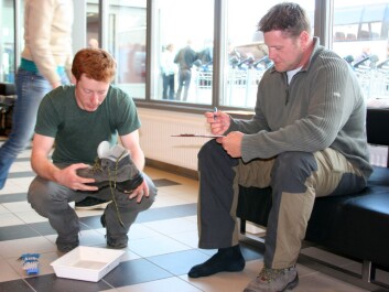 Chris Ware (left) cleaning shoes at Longyearbyen airport in July 2008. (Photo: Eva Therese Jenssen/UNIS) Chris Ware (left) cleaning shoes at Longyearbyen airport in July 2008. (Photo: Eva Therese Jenssen/UNIS)