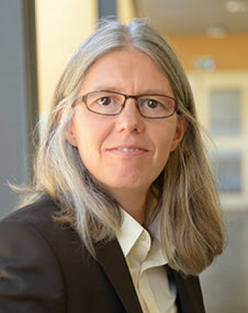 Professor Sigrid Blömeke er senterleder ved Centre for Educational Measurement (CEMO). (Foto: Shane Colvin, Det utdanningsvitenskapelige fakultet, UiO) Professor Sigrid Blömeke er senterleder ved Centre for Educational Measurement (CEMO). (Foto: Shane Colvin, Det utdanningsvitenskapelige fakultet, UiO)