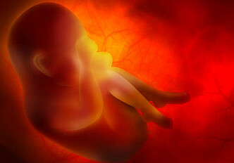 Counting fetal movement may reveal low fetal activity
