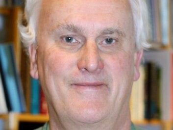 Professor Knut Holtan Sørensen. (Photo: Kilden) Professor Knut Holtan Sørensen. (Photo: Kilden)