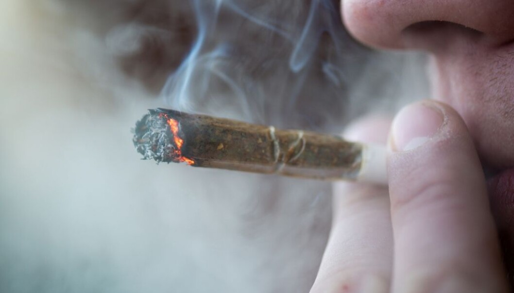 Hvordan går det med helsa når cannabisrøykere blir eldre? (Illustrasjonsfoto: Pe3k/Shutterstock/NTB scanpix.) Hvordan går det med helsa når cannabisrøykere blir eldre? (Illustrasjonsfoto: Pe3k/Shutterstock/NTB scanpix.)