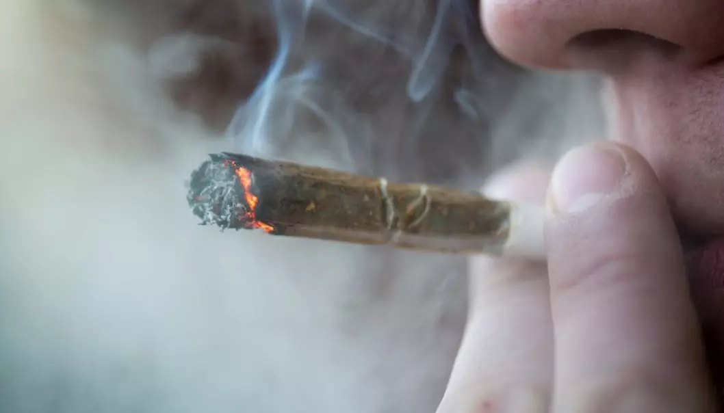 Hvordan går det med de som røyker cannabis når de blir eldre?