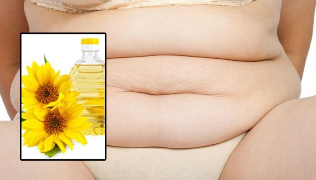 Soya oil, maiz oil and sunflower oil promotes weight gain. (Photo: Colourbox) Soya oil, maiz oil and sunflower oil promotes weight gain. (Photo: Colourbox)