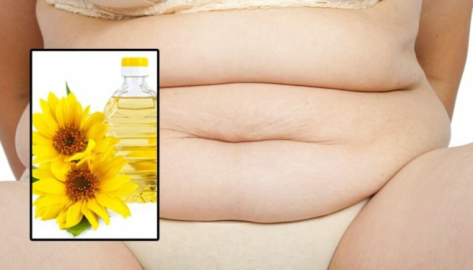 Soya oil, maiz oil and sunflower oil promotes weight gain. (Photo: Colourbox)