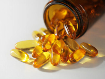 The fat-promoting effect of omega-6 was reduced when the feed was supplemented with marine omega-3. (Photo: Colourbox)