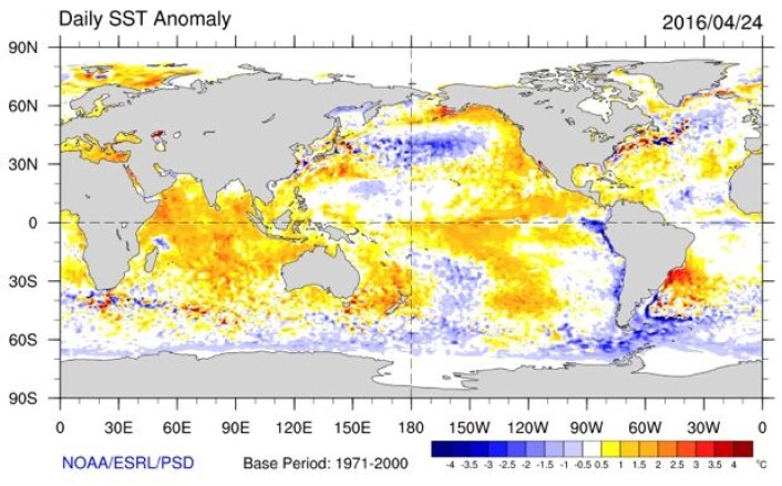 Temperatur (avvik fra normalen) i havoverflaten, estimert for 24 april. (Bilde: NOAA) Temperatur (avvik fra normalen) i havoverflaten, estimert for 24 april. (Bilde: NOAA)