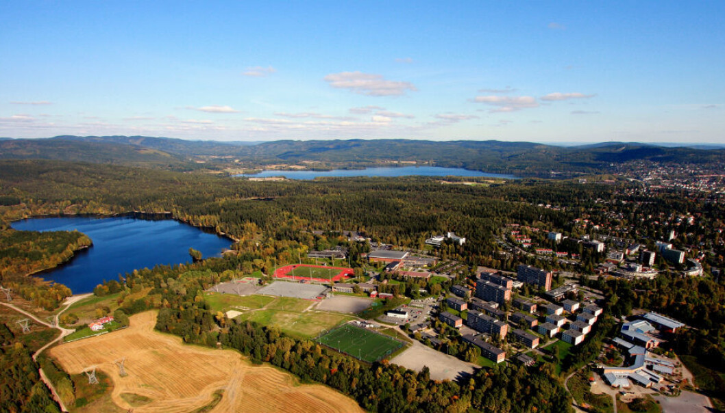 De ansatte på Norges idrettshøgskole er flinke til å forske og få forskningen publisert i anerkjente tidsskrifter, mener rektor Kari Bøe. (Foto: Løchenmediaweb/Terje Løchen/NIH.) De ansatte på Norges idrettshøgskole er flinke til å forske og få forskningen publisert i anerkjente tidsskrifter, mener rektor Kari Bøe. (Foto: Løchenmediaweb/Terje Løchen/NIH.)