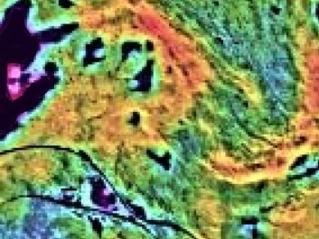 This is what the satellite image looks like when downloaded. Several images are joined together to form a colour image which enables the researchers to interpret them. The completely black areas are water. The darker the patches of land, the less living vegetation. We see the E-10 highway and railway between Narvik and Kiruna snaking their way across the photograph. (Photo: Fram Centre). This is what the satellite image looks like when downloaded. Several images are joined together to form a colour image which enables the researchers to interpret them. The completely black areas are water. The darker the patches of land, the less living vegetation. We see the E-10 highway and railway between Narvik and Kiruna snaking their way across the photograph. (Photo: Fram Centre).