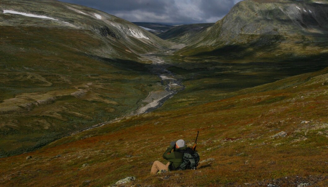 A hunter in nature (Photo: Per Jordhøy/NINA) A hunter in nature (Photo: Per Jordhøy/NINA)