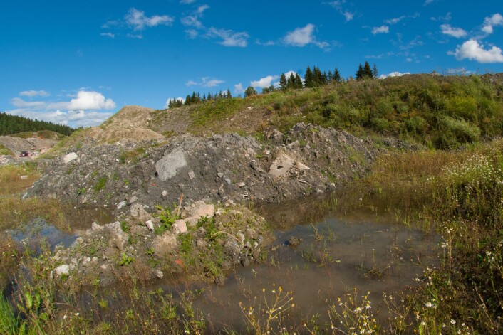 Veibygging og grøfting bidrar til at yngleplasser og overvintringsplasser for storsalamander forsvinner. (Foto: Børre K. Dervo, NINA) Veibygging og grøfting bidrar til at yngleplasser og overvintringsplasser for storsalamander forsvinner. (Foto: Børre K. Dervo, NINA)