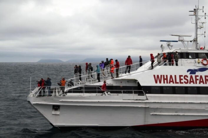 De to forskerne har studert hvordan hvalsafari foregår på Island. (Foto: Berit Kristoffersen) De to forskerne har studert hvordan hvalsafari foregår på Island. (Foto: Berit Kristoffersen)