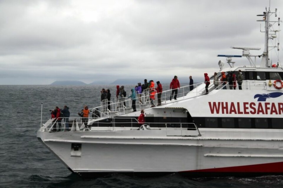 De to forskerne har studert hvordan hvalsafari foregår på Island. (Foto: Berit Kristoffersen)