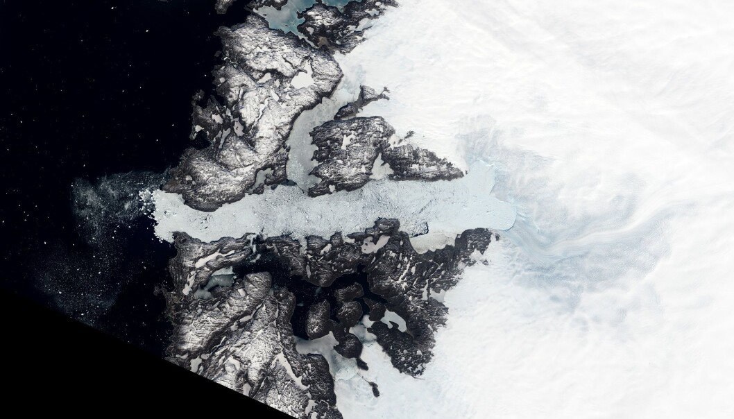 Jakobshavn-isbreen er en av de som beveger seg raskest i hele verden og sender store mengder is ut i havet. (Foto: NASA Earth Observatory) Jakobshavn-isbreen er en av de som beveger seg raskest i hele verden og sender store mengder is ut i havet. (Foto: NASA Earth Observatory)