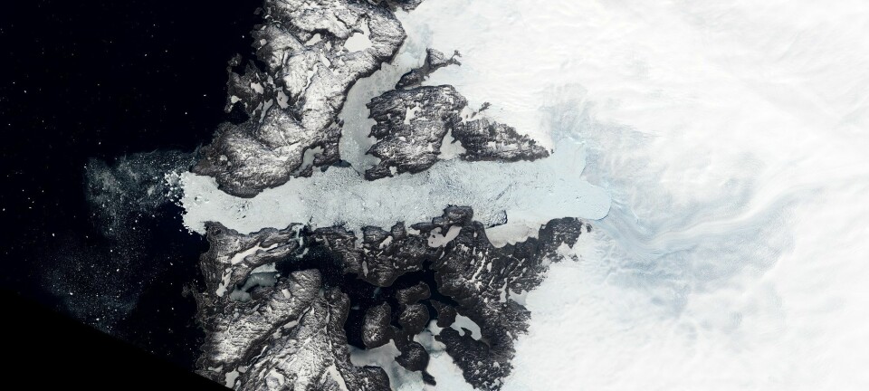 Jakobshavn-isbreen er en av de som beveger seg raskest i hele verden og sender store mengder is ut i havet. (Foto: NASA Earth Observatory)