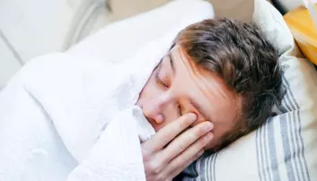 Stadige forstyrrelser av søvnen irriterer deg mest