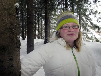 Underestimated: “The trees' ability to exist at a minimal level and their rate of spread appears to have been underestimated,” says Ellen Elverland, a PhD candidate at the Tromsø Museum and one of many scientists who participated in the study. (Photo: Stefan Amlie) Underestimated: “The trees' ability to exist at a minimal level and their rate of spread appears to have been underestimated,” says Ellen Elverland, a PhD candidate at the Tromsø Museum and one of many scientists who participated in the study. (Photo: Stefan Amlie)