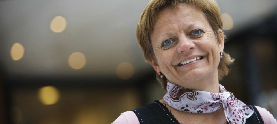 Divisjonsdirektør i Forskningsrådet, Anne Kjersti Fahlvik, er en av ni offentlige søkere til stillingen som forskningsdirektør etter Arvid Hallén. (Foto: Forskningsrådet)