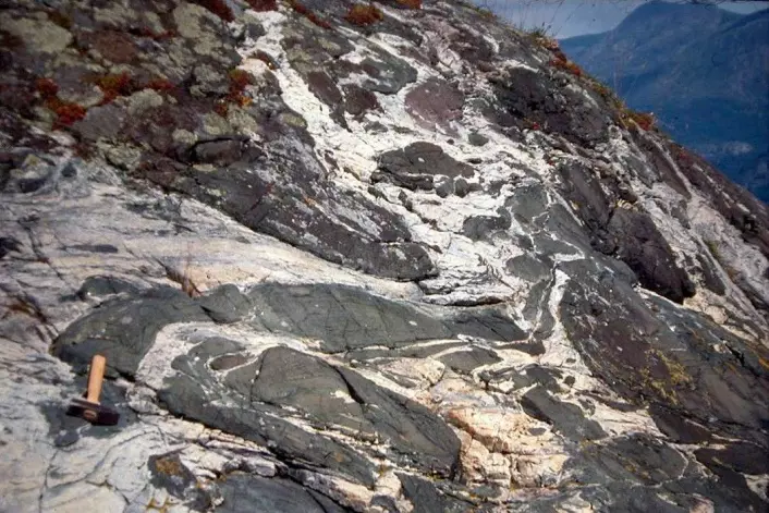 Små linser av eklogitt som «flyter» i kvarts. Disse restene av dypskorpe finner vi på overflaten i dag, selv om de for 400 millioner år siden ble dannet på 45 kilometers dyp i skorpen. Bildet er fra Dalsfjorden i Sunnfjord. (Foto: Ane Engvik, NGU)