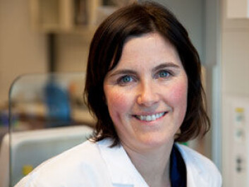 Post-doctoral research fellow Trude Holmeide Ågesen is hunting for so-called candidate genes. (Photo: Marianne Baksjøberg, UiO)
Post-doctoral research fellow Trude Holmeide Ågesen is hunting for so-called candidate genes. (Photo: Marianne Baksjøberg, UiO)