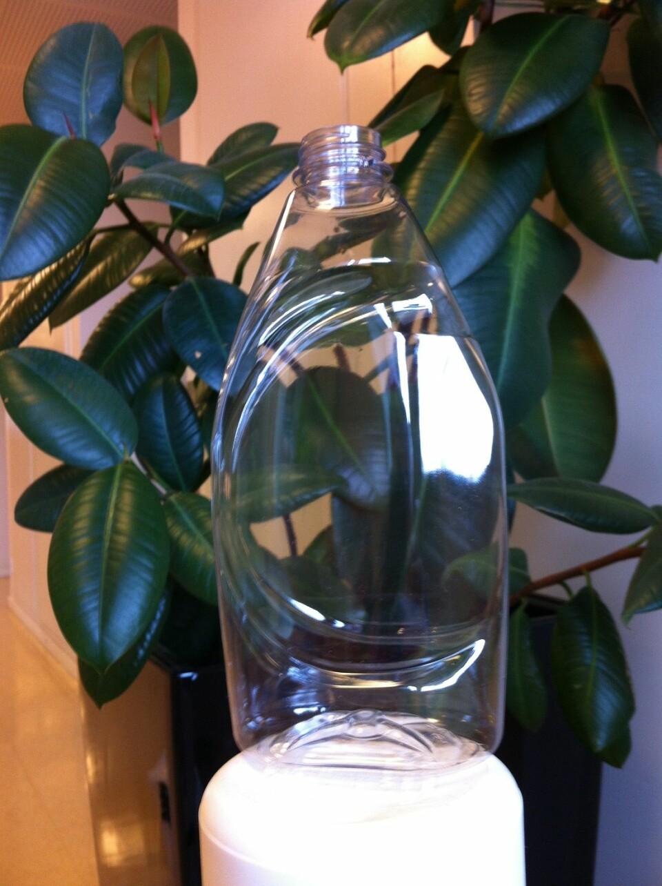 Flaske laget av plantebasert materiale. (Foto: SINTEF)