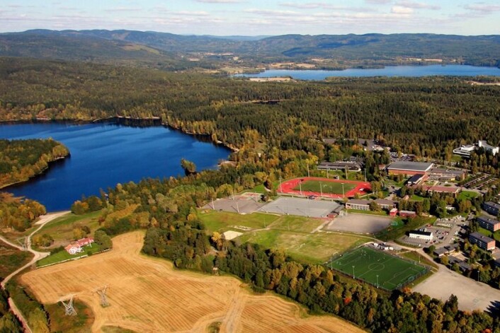 Norges idrettshøgskole gjør det godt på internasjonalisering, viser ferske tall fra U-Multirank. (Foto: Terje Løchen/NIH) Norges idrettshøgskole gjør det godt på internasjonalisering, viser ferske tall fra U-Multirank. (Foto: Terje Løchen/NIH)