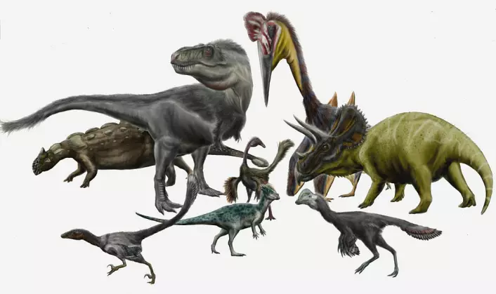 Flere forskjellige dinosaurer, blant annet triceratops som har blitt funnet i Hell Creek-formasjonen i USA. Disse dinosaurene levde i den siste dinosaur-tiden på jorda, og døde ut for 66 millioner år siden. (Foto: (bilde: Durbed/CC BY-SA 3.0))