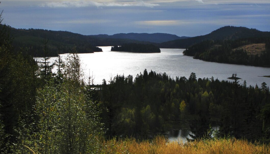 Sakte men sikkert mister vi uberørt natur i de store utmarksområdene våre, skriver kronikkforfatterne. Her fra innsjøen Hakloa i Nordmarka. (Foto: Scanpix) Sakte men sikkert mister vi uberørt natur i de store utmarksområdene våre, skriver kronikkforfatterne. Her fra innsjøen Hakloa i Nordmarka. (Foto: Scanpix)