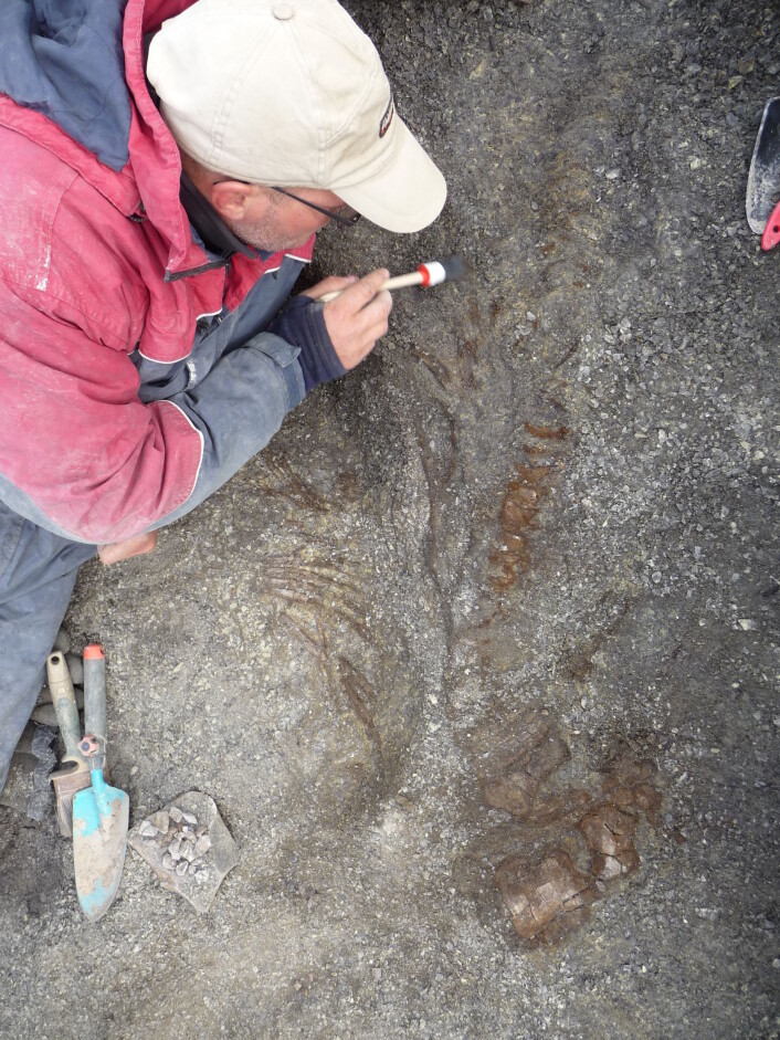Tommy er ca fem minutter unna å finne hofta til fiskeøgla Mikkel, som startet hele min fascinasjon for hofter. Foto: SMRG Tommy er ca fem minutter unna å finne hofta til fiskeøgla Mikkel, som startet hele min fascinasjon for hofter. Foto: SMRG