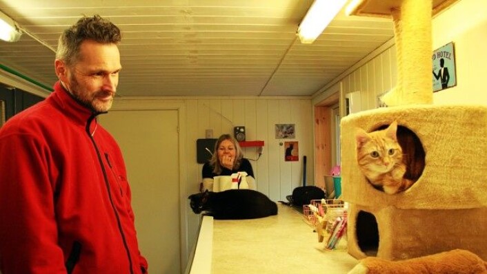 - Det er ofte de samme kattene som kommer tilbake, forteller hotelleierne. I dag skal to av kattene reise hjem til matmor og matfar. (Foto: Mari Svenning.) - Det er ofte de samme kattene som kommer tilbake, forteller hotelleierne. I dag skal to av kattene reise hjem til matmor og matfar. (Foto: Mari Svenning.)