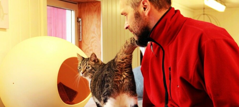 Jo Bjørn Skatval driver et Kattehotell i Nord-Trøndelag, og mener han forstår mye av det kattene kommuniserer. (Foto: Mari Svenning.)