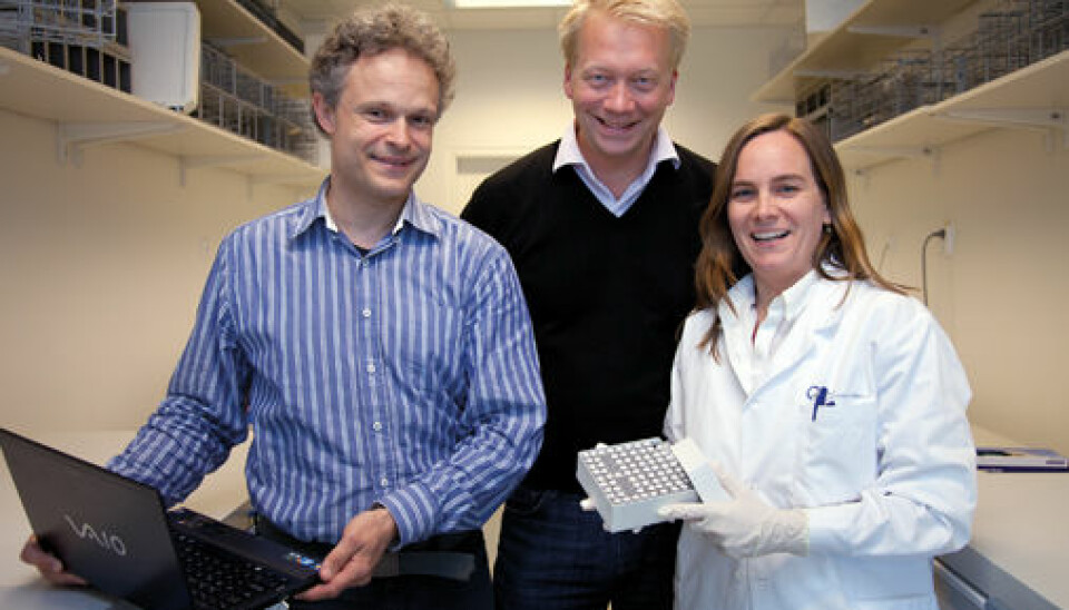 Oncologist Hans Kristian Vollan and pathologist Hege Russness collaborate closely with bioinformatician Ole Kristian Lingjærde (on the left) to find the systematic connection between changes in the cancer genome and how serious the illness is. (Photo: Yngve Vogt)