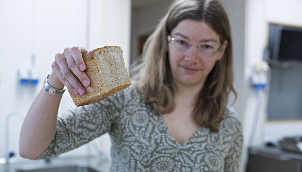 Nofima-forsker Anne Rieder har undersøkt brød helt ned på molekylnivå for å finne den sunneste oppskriften. (Foto: Jon-Are Berg-Jacobsen, Nofima) Nofima-forsker Anne Rieder har undersøkt brød helt ned på molekylnivå for å finne den sunneste oppskriften. (Foto: Jon-Are Berg-Jacobsen, Nofima)