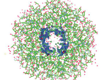 The green lines are the connections between carbons. The blue dots are nitrogen, while the red dots are water molecules. More precisely: A water molecule consists of two hydrogen atoms and one oxygen atom. At the resolution the researchers use, it is not possible to see the hydrogen atoms with the x-ray. Therefore, the red dots are oxygen atoms. (Photo: Julie Heggelund) The green lines are the connections between carbons. The blue dots are nitrogen, while the red dots are water molecules. More precisely: A water molecule consists of two hydrogen atoms and one oxygen atom. At the resolution the researchers use, it is not possible to see the hydrogen atoms with the x-ray. Therefore, the red dots are oxygen atoms. (Photo: Julie Heggelund)