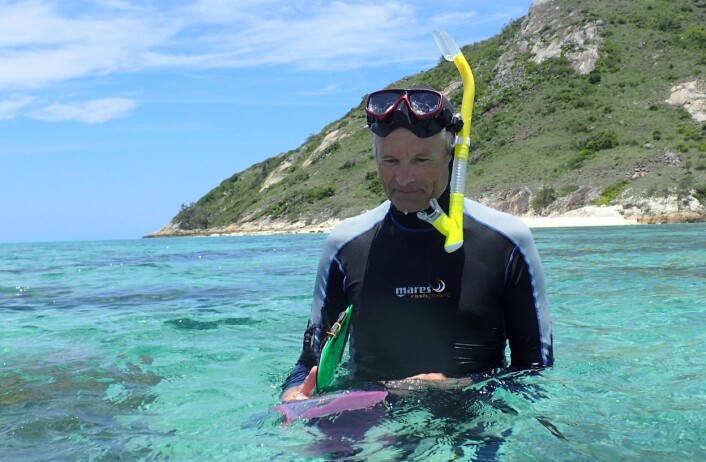 Trond Amundsen deltar i et forskningsprosjekt ved Lizard Island i 2015. (Foto: Sara Östlund-Nilsson) Trond Amundsen deltar i et forskningsprosjekt ved Lizard Island i 2015. (Foto: Sara Östlund-Nilsson)