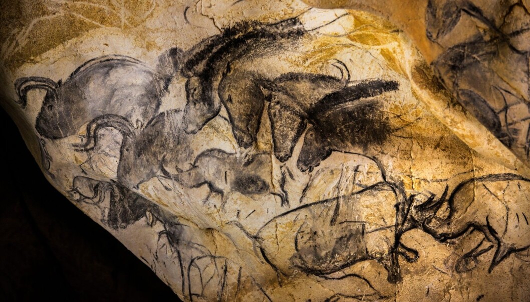 Chauvet-grotten ble oppdaget i 1994 og inneholder de eldste figurative hulemaleriene vi kjenner til i verden. De imponerende kunstverkene ble lagd 25 000 år før istiden tok slutt. (Foto: Det franske kulturdepartementet) Chauvet-grotten ble oppdaget i 1994 og inneholder de eldste figurative hulemaleriene vi kjenner til i verden. De imponerende kunstverkene ble lagd 25 000 år før istiden tok slutt. (Foto: Det franske kulturdepartementet)