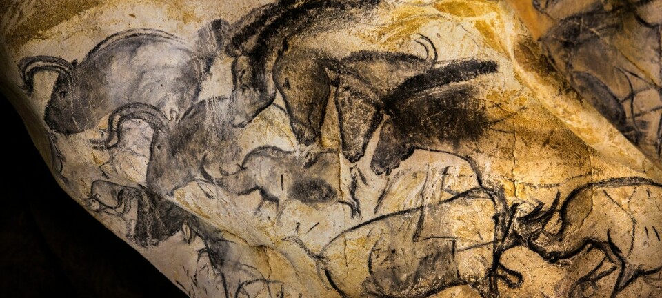 Chauvet-grotten ble oppdaget i 1994 og inneholder de eldste figurative hulemaleriene vi kjenner til i verden. De imponerende kunstverkene ble lagd 25 000 år før istiden tok slutt.  (Foto: Det franske kulturdepartementet)