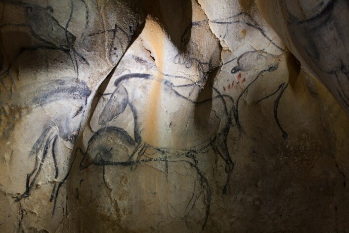 Hester er det mange av blant dyrene i Chauvet-grotten. Alle bildene er anslått til å være om lag 36 000 år gamle. Men inne i grotten er det også noe fotspor i sanden som forskere har slått fast at må være ti tusen år yngre. Det er fotsporene til et barn. Etter at denne ungen gikk alene rundt i grotten for 26 000 år siden, har ingen vært der inntil 1994.
