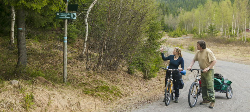 Kan en dasj testosteron bedre kvinners orienteringsevne? Studie ved NTNU viser at det er mer komplisert enn som så. Bildet viser en kvinne og mann som prøver å finne veien på en sykkeltur i Nordmarka i Oslo. (Foto: Kai Jensen, NTB Scanpix)