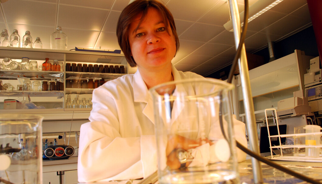 In a laboratory at the FRAM Centre in Tromsø, Dorte Herzke, senior research scientist at NILU, is trying to solve the mystery of where the mysterious PFAS come from. (Photo: Helge M. Markusson, FRAM Centre.) In a laboratory at the FRAM Centre in Tromsø, Dorte Herzke, senior research scientist at NILU, is trying to solve the mystery of where the mysterious PFAS come from. (Photo: Helge M. Markusson, FRAM Centre.)