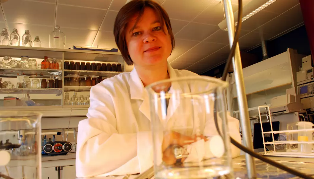In a laboratory at the FRAM Centre in Tromsø, Dorte Herzke, senior research scientist at NILU, is trying to solve the mystery of where the mysterious PFAS come from. (Photo: Helge M. Markusson, FRAM Centre.)