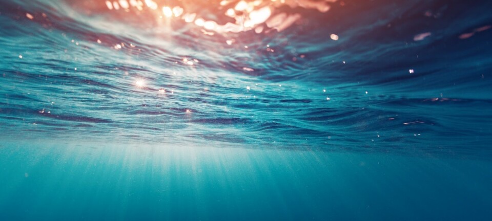 Vann har 4000 ganger så stor varmekapasitet og 1000 ganger så stor treghet som luft. Det setter havet i stand til å huske i flere år. Slik kan havet hjelpe oss å forutsi kommende hendelser – som hvordan Lofotfisket blir om et par år.  (Foto:  Shutterstock)