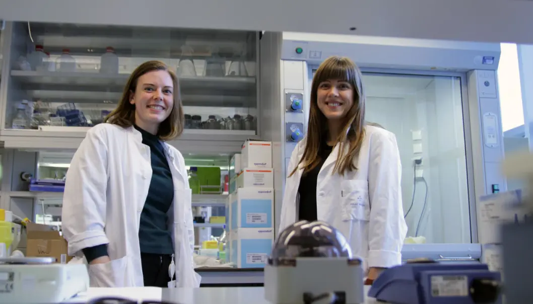 Fiskeprotein som kosttilskudd er i vinden, men hvilke fordeler for helsen gir inntak av disse på folks helse? Aslaug Drotningsvik og Iselin Vildmyren tar doktorgrad for å finne ut av det. (Foto: Solfrid T. Langeland, UiB) Fiskeprotein som kosttilskudd er i vinden, men hvilke fordeler for helsen gir inntak av disse på folks helse? Aslaug Drotningsvik og Iselin Vildmyren tar doktorgrad for å finne ut av det. (Foto: Solfrid T. Langeland, UiB)