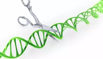 HIV utmanøvrerer CRISPR igjen
