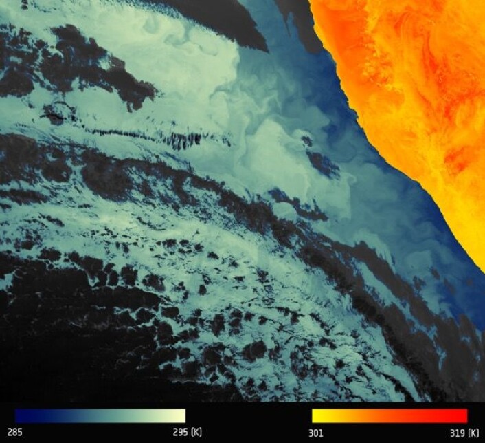 Det første temperatur-bildet fra Sentinel-3A, med store kontraster mellom land og hav i Namibia. Hav og skyer til venstre, land til høyre. (Bilde: Modifisert Copernicus Sentinel data 2016) Det første temperatur-bildet fra Sentinel-3A, med store kontraster mellom land og hav i Namibia. Hav og skyer til venstre, land til høyre. (Bilde: Modifisert Copernicus Sentinel data 2016)