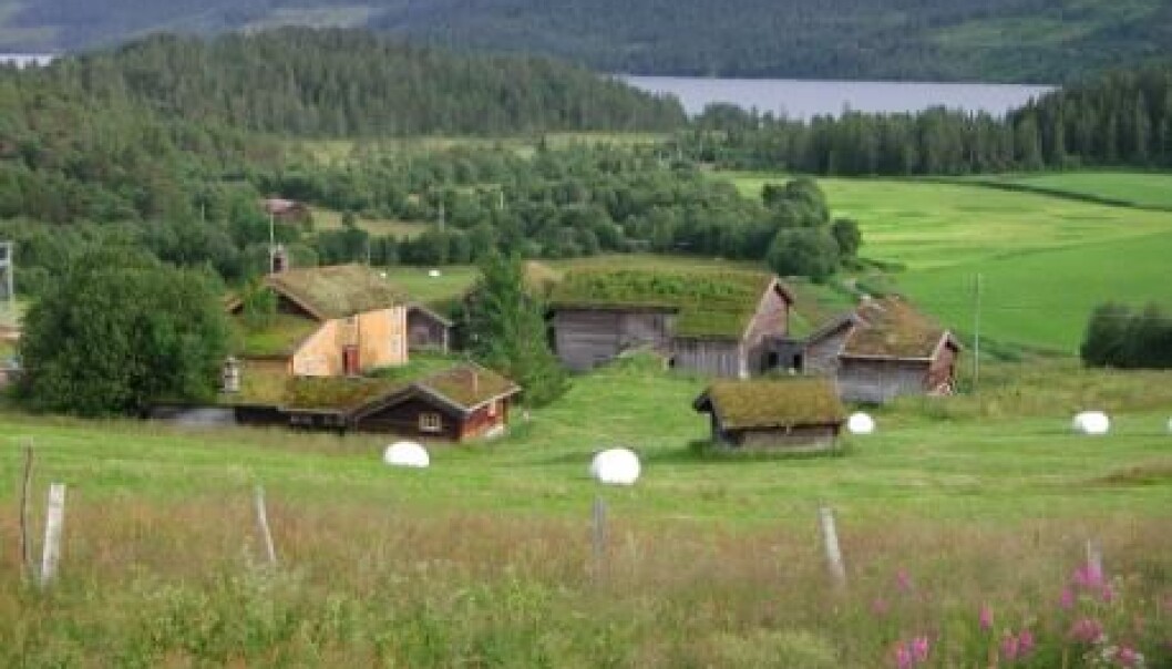 Nitrogen leaching and runoff in agriculture is potentially harmful to the environment. (Photo: Bioforsk) Nitrogen leaching and runoff in agriculture is potentially harmful to the environment. (Photo: Bioforsk)
