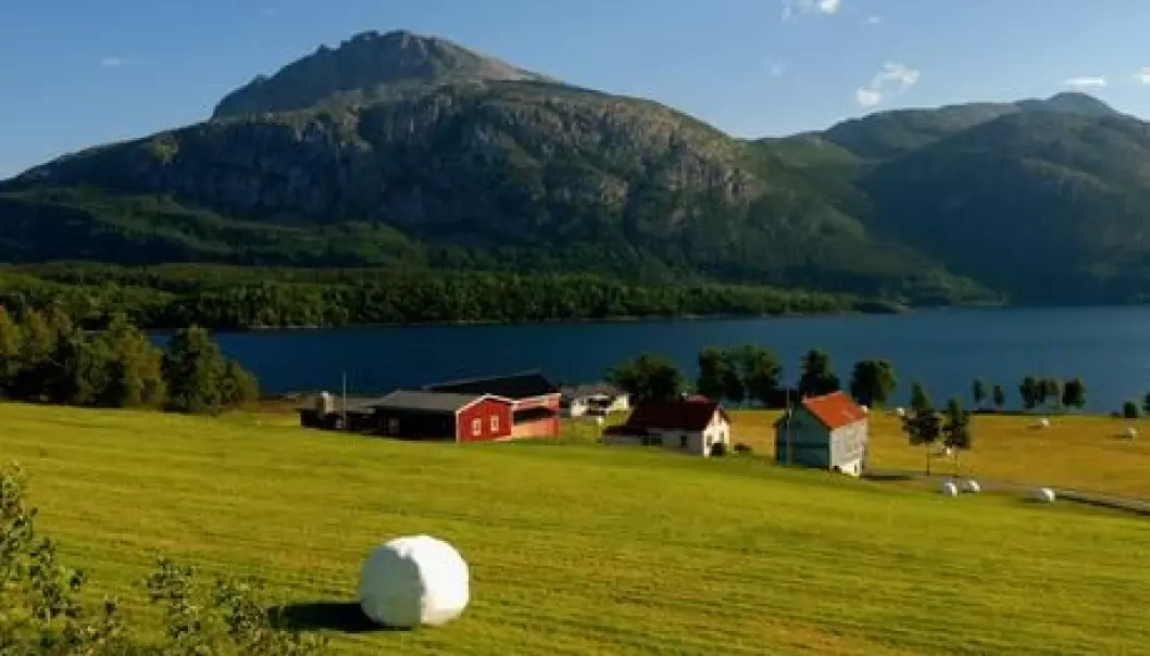 Across much of Norway, the agricultural growing season could become up to two months longer due to climate change. (Photo: Colourbox)
