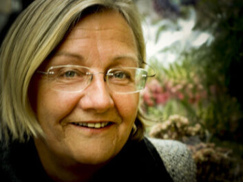 Hege Skjeie has chaired the Equality Committee, which recently submitted its second and final report on equality policy in Norway. (Photo: Ragnhild Fjellro) Hege Skjeie has chaired the Equality Committee, which recently submitted its second and final report on equality policy in Norway. (Photo: Ragnhild Fjellro)