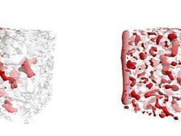 The 3D simulation on the left shows the distribution and movement of CO2 in sandstone capillaries under stationary flow conditions. On the right, non-stationary flow conditions (which occur near an injection well) are simulated. (Illustration: Numerical Rocks AS ) The 3D simulation on the left shows the distribution and movement of CO2 in sandstone capillaries under stationary flow conditions. On the right, non-stationary flow conditions (which occur near an injection well) are simulated. (Illustration: Numerical Rocks AS )